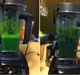 smoothie in a blender
